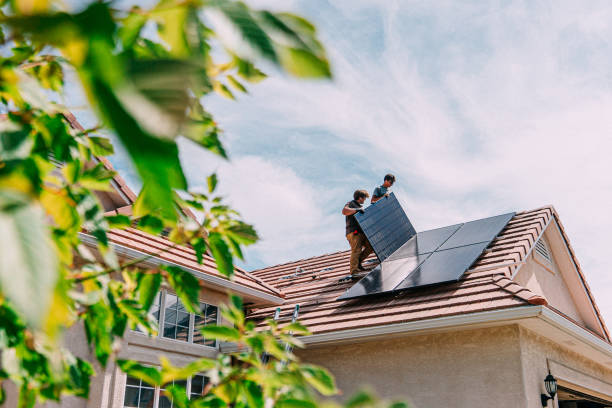 Best Roof Gutter Cleaning  in Forest Hills, TN