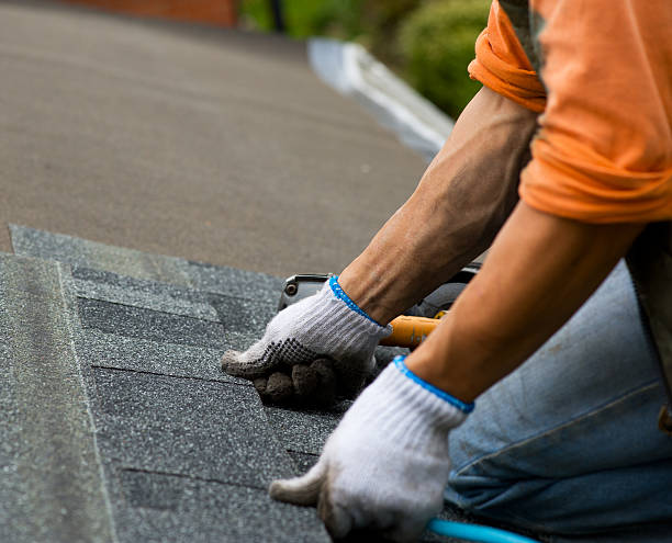 Best Roof Replacement Cost  in Forest Hills, TN